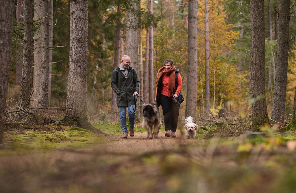 Vuurwerkvrije parken: rustig oud en nieuw met hond | RCN Vakantieparken